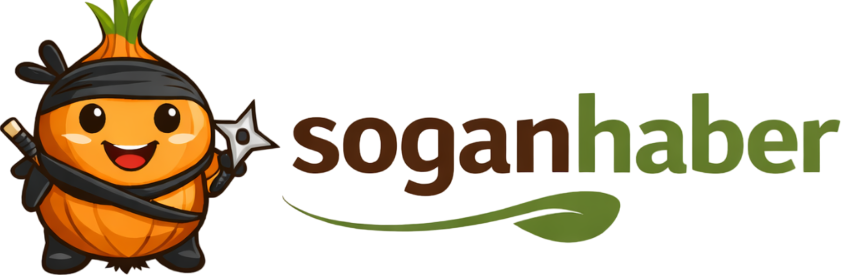 soganhaber.com
